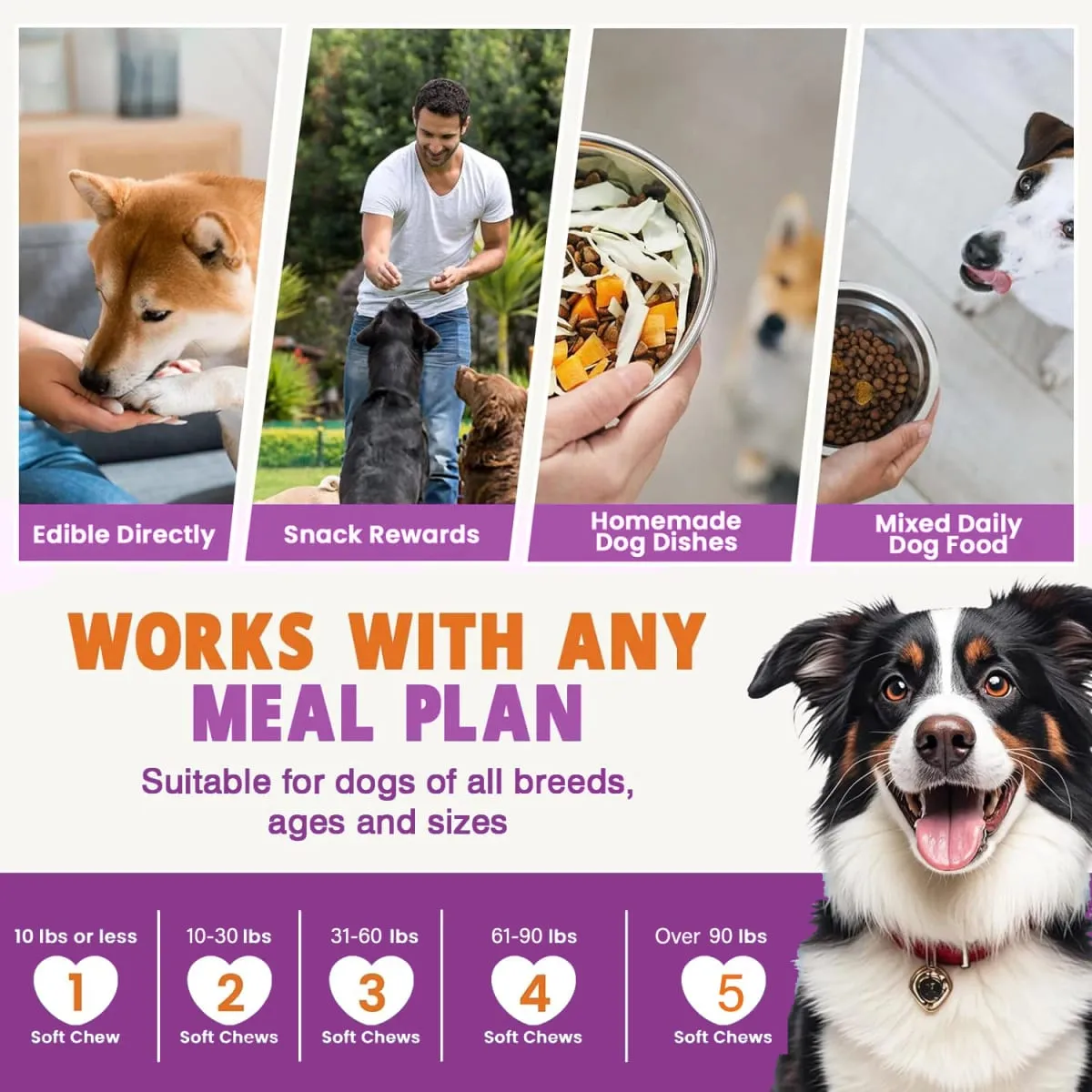 Senior & Puppy Dog Multivitamin Supplement Multi Vitamins Chicken Flavor Chews for Pet Joint Immunity Mobility Energy Gut Skin — image 6