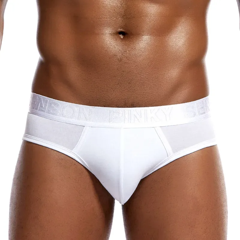 Marca Pinky Seaso, los más vendidos, pantalones triangulares sexis, ropa interior fina de Modal de Color sólido, calzoncillos de Modal ventilados de talla grande para hombres — image 3