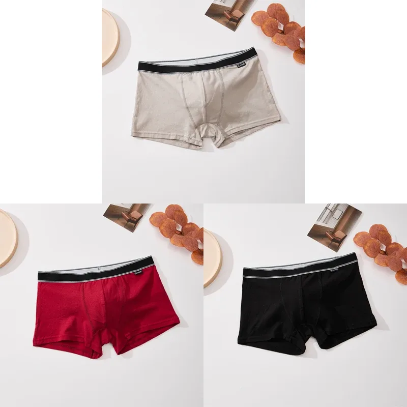 3pc Simple Solid Color Stripe Belt Men's Underwear Cotton Comfortable Soft Male Boxer Shorts Special Offer Mid Waist Briefs S-XL