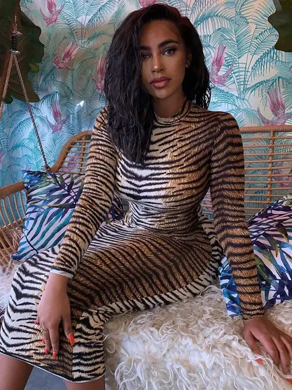 leopard print long sleeve slim bodycon sexy dress taglagas taglamig kababaihan streetwear party festival dresses outfits — image 2