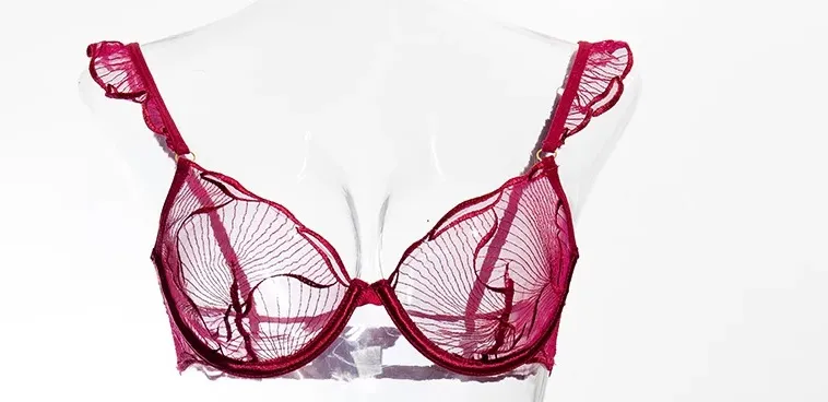 セクシーな Women French Hollow Lace Bra Set Floral Embroidery Ultra Thin Cup Minimizer Brassiere Stretchy Daily Lingerie 32 to 38