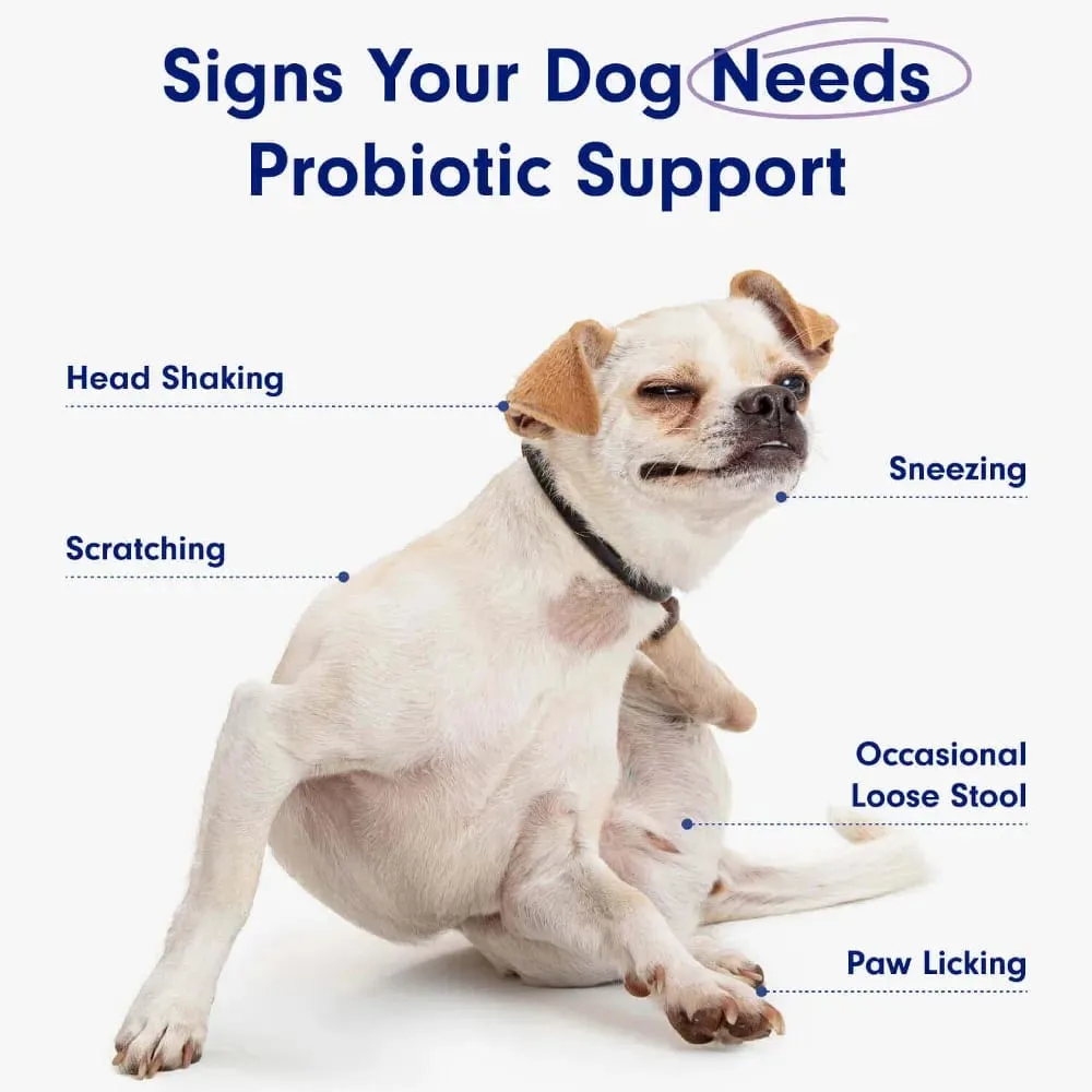 Probiotics Chews for Dogs Support Gut Health Paminsan-minsang Diarrhea Digestive Health at Pana-panahong Allergy - 30 Soft Chew — image 3