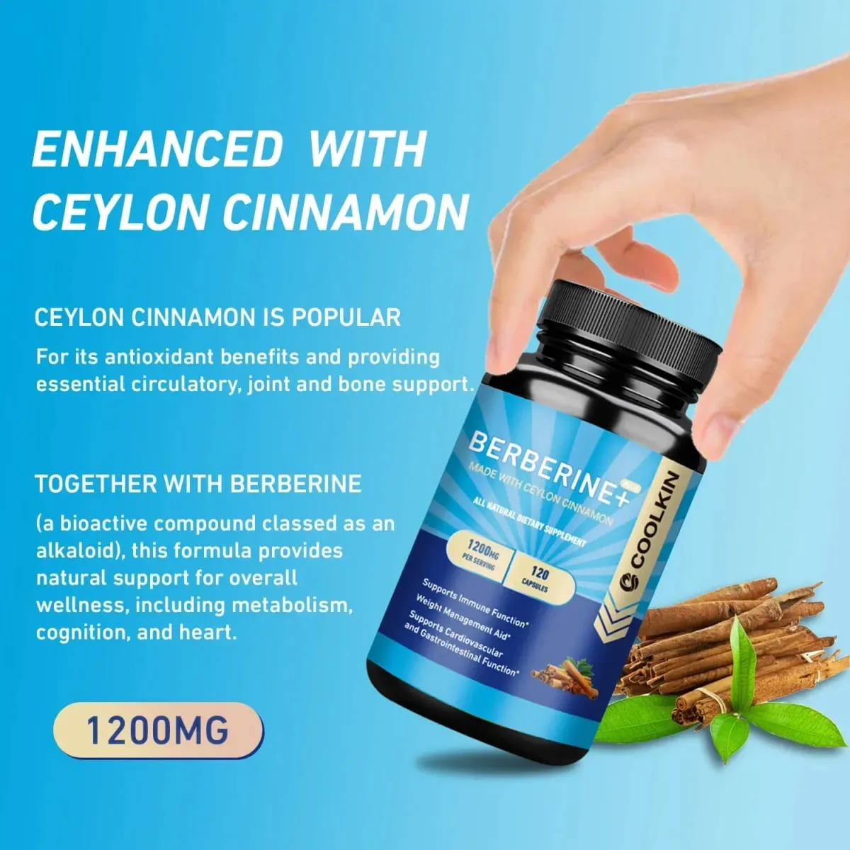 Premium Berberine HCl 1200 Mg Plus Organic Ceylon Cinnamon - Suplemen Pengurusan Berat Sokongan Sistem Imun — image 5