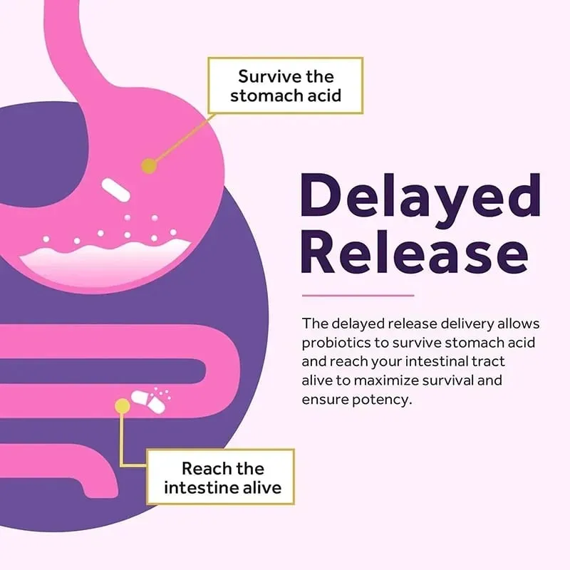 Women’s Probiotic - Improves Intestinal Health Improves Digestion and Relieves Bloating and Gas — image 6