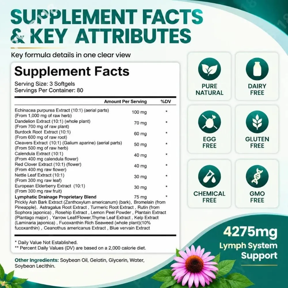 Lymphatic Support Softgels with Echinacea Dandelion Herbal Supplement 21-in-1 Botanical Formula for Lymph Flow System 240 Count — image 3