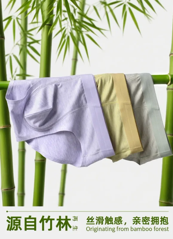 Men Sexy Briefs Bamboo Fiber Underwear Bulge Pouch Underpants 10A Antibacterial Breathable Sports Panties Soft Knickers Shorts