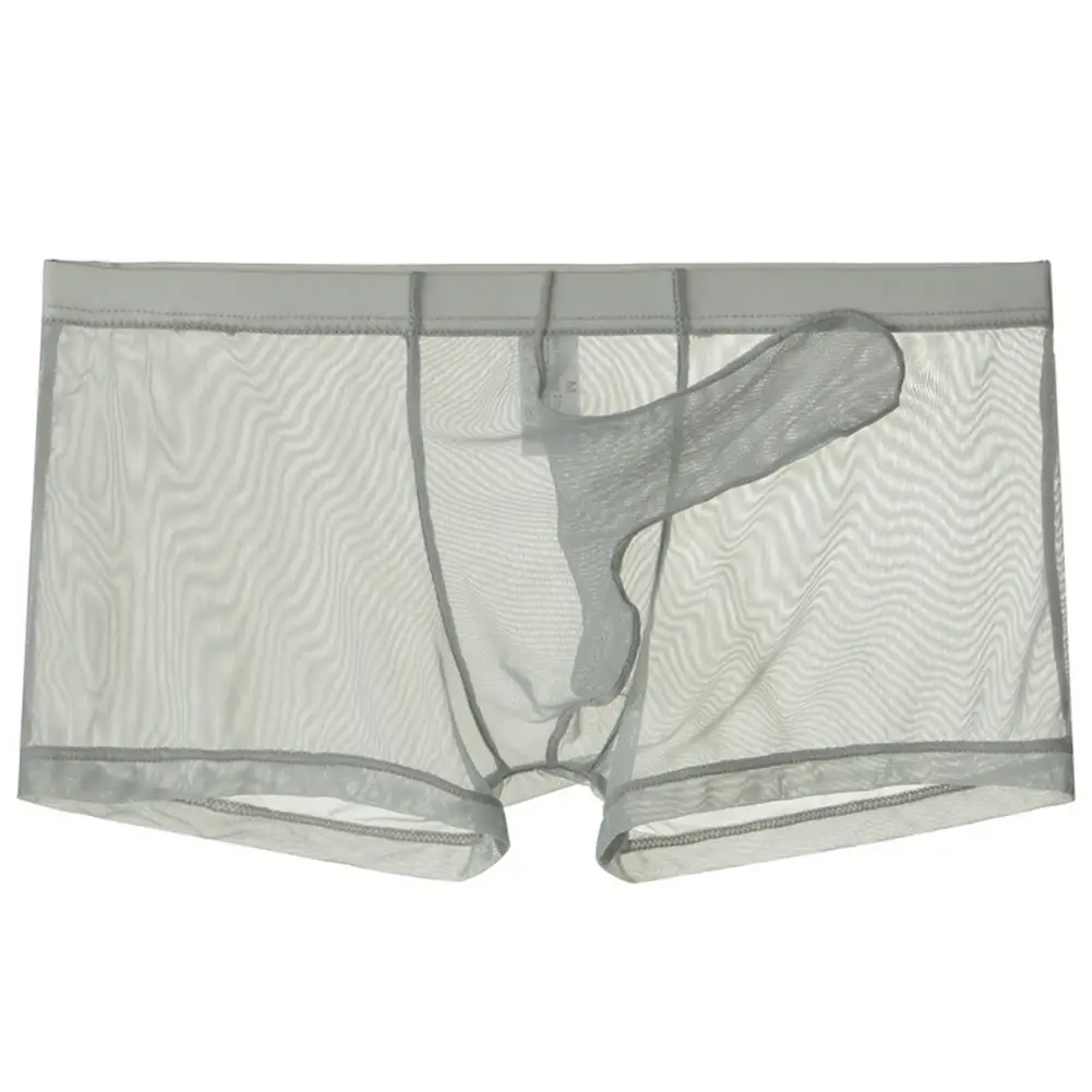 Mga Sexy Men Mesh Transparent Lightweight Underwear See Through Breathable Boxer Briefs Panties Bullet Separation Male Boxer Panty — image 12