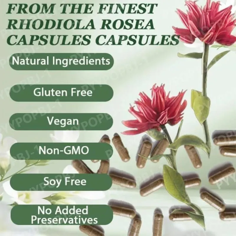 500mg Rhodiola Rosea Capsules Natural Herbaceous Plants Supplement for Daily Stress Support & Energy Balance 60 Count Per Bottle — image 4