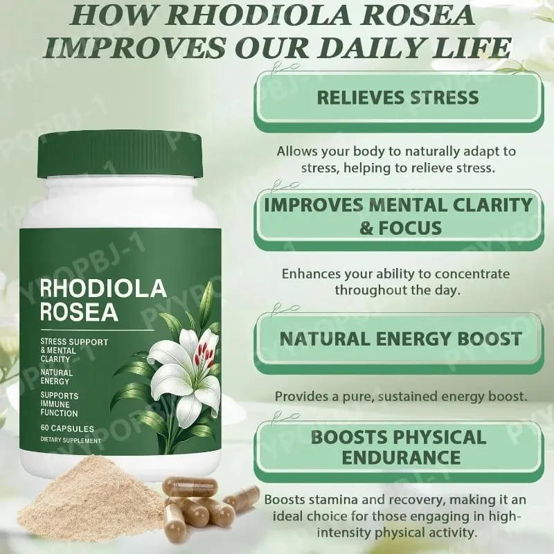 500mg Rhodiola Rosea Capsules Natural Herbaceous Plants Supplement for Daily Stress Support & Energy Balance 60 Count Per Bottle — image 3