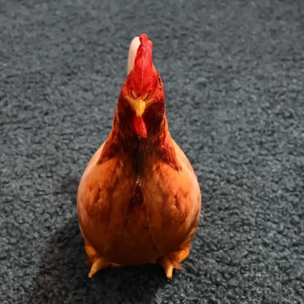 Material Bantal Badan Haiwan 30cm Saiz Tekstur Lembut Kusyen Haiwan Design Comel PP Kapas Isi Ayam Bantal Bantal — image 3