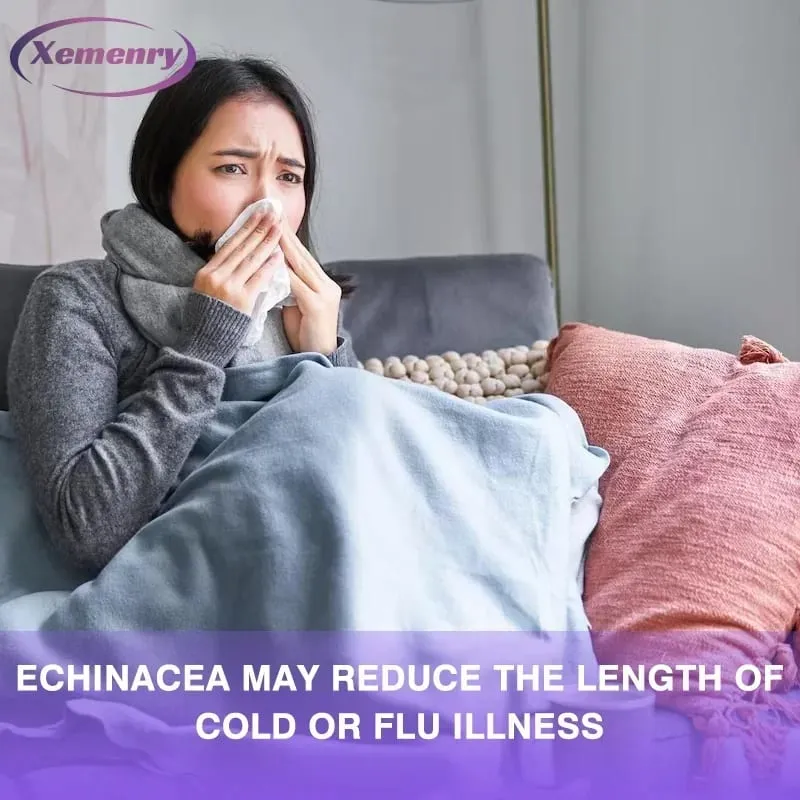 Echinacea Capsules 400 Mg - Sinusuportahan ang Immune at Respiratory Health at Binabawasan ang Haba ng Cold Supplement — image 6