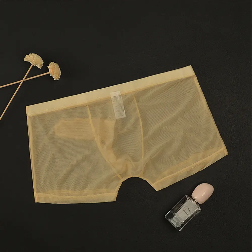Mga Sexy Men Mesh Transparent Lightweight Underwear See Through Breathable Boxer Briefs Panties Bullet Separation Male Boxer Panty — image 8