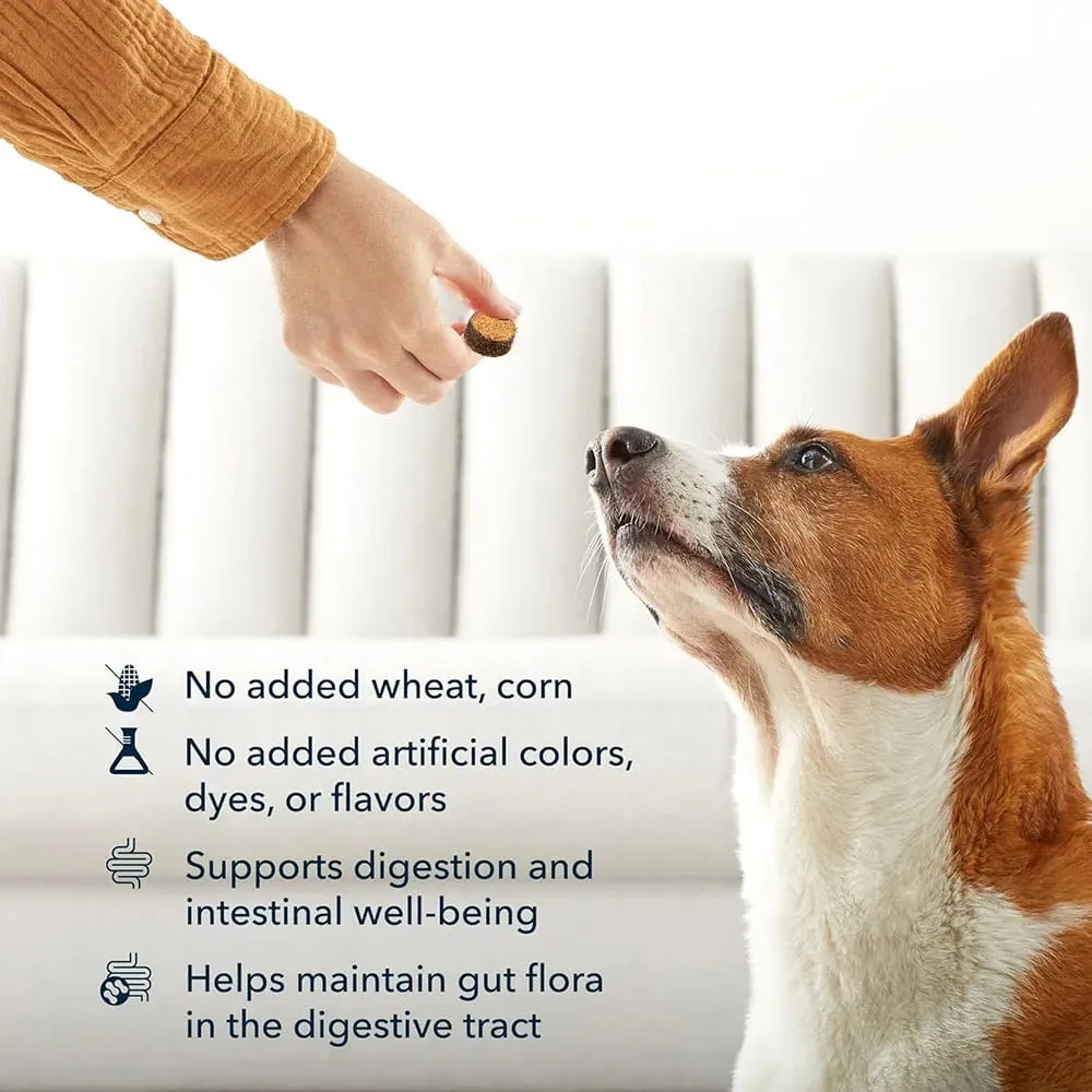 Probiotics Chews for Dogs Support Gut Health Paminsan-minsang Diarrhea Digestive Health at Pana-panahong Allergy - 30 Soft Chew — image 6