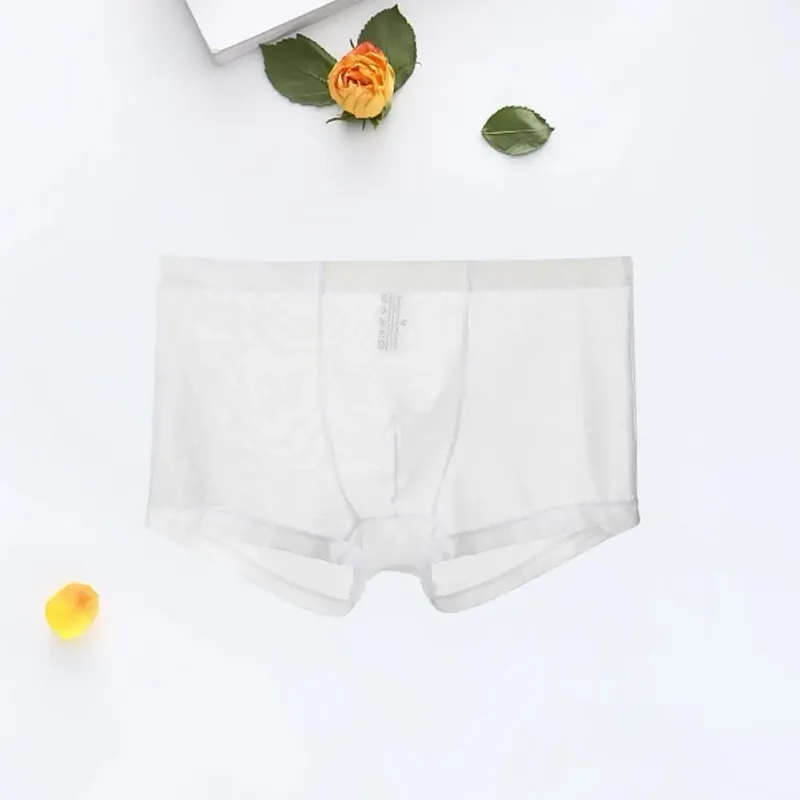 남성용 투명 복서 남성용 속옷을 통해 볼 섹시한 메쉬 로우 허리 아이스 실크 얇은 냉각 남성 팬티 남성 속옷 — image 15