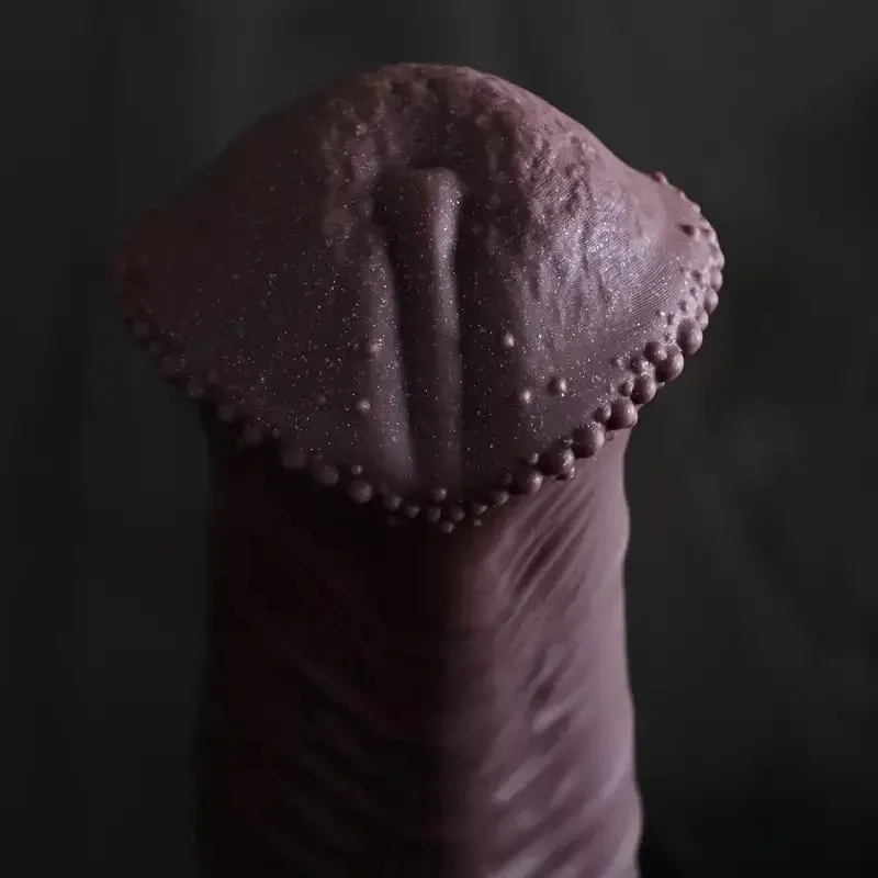 Huge Horse Dildo Anal Plug Sex Toys For Men Women Silicone Butt Plug Horse Penis Big S-L Prostate Massager Anal Dilation 18+ — image 3