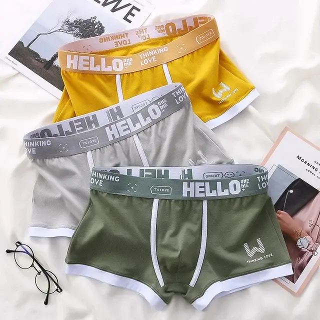 1Pcs Men Cotton Boxer Shorts Panties Underwear3 Kulay L XL 2XL 3XL Soft Letter Belt Breathable Soft Fashion Sports — image 6