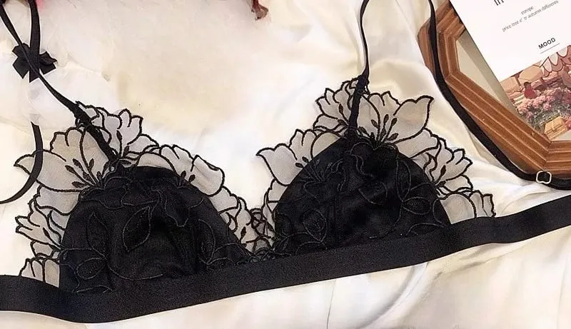  Elegant French Lace Bralette Wireless Triangle Cup No Underwire Thin Straps Small Bust Women Comfort Lingerie Set BANERDANNI — image 11