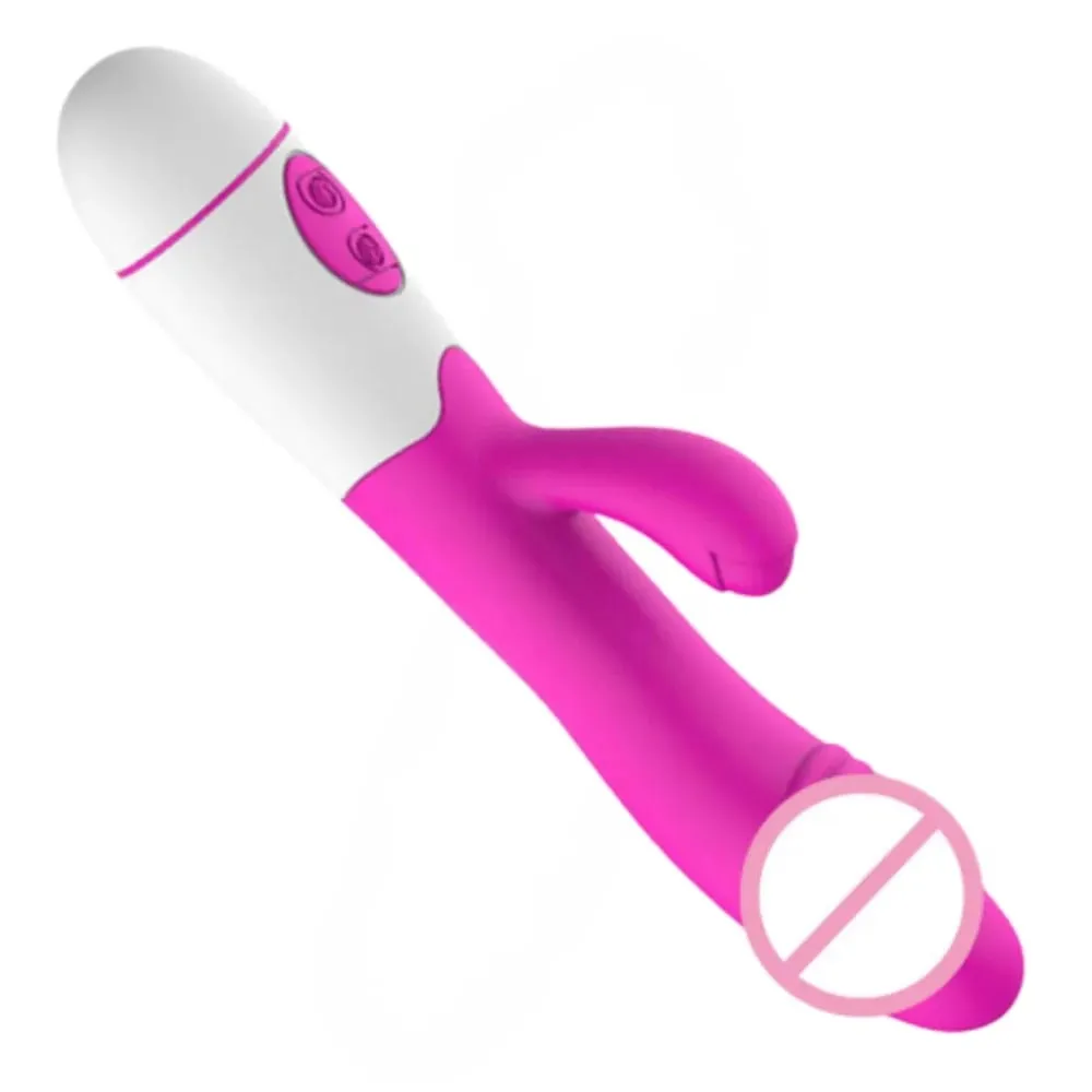 Silicone G-Spot Rabbit Vibrator Dual Vibration Clitoral Massager 10 Speeds Rechargeable Waterproof Pleasure Sex Toy for Women — image 1
