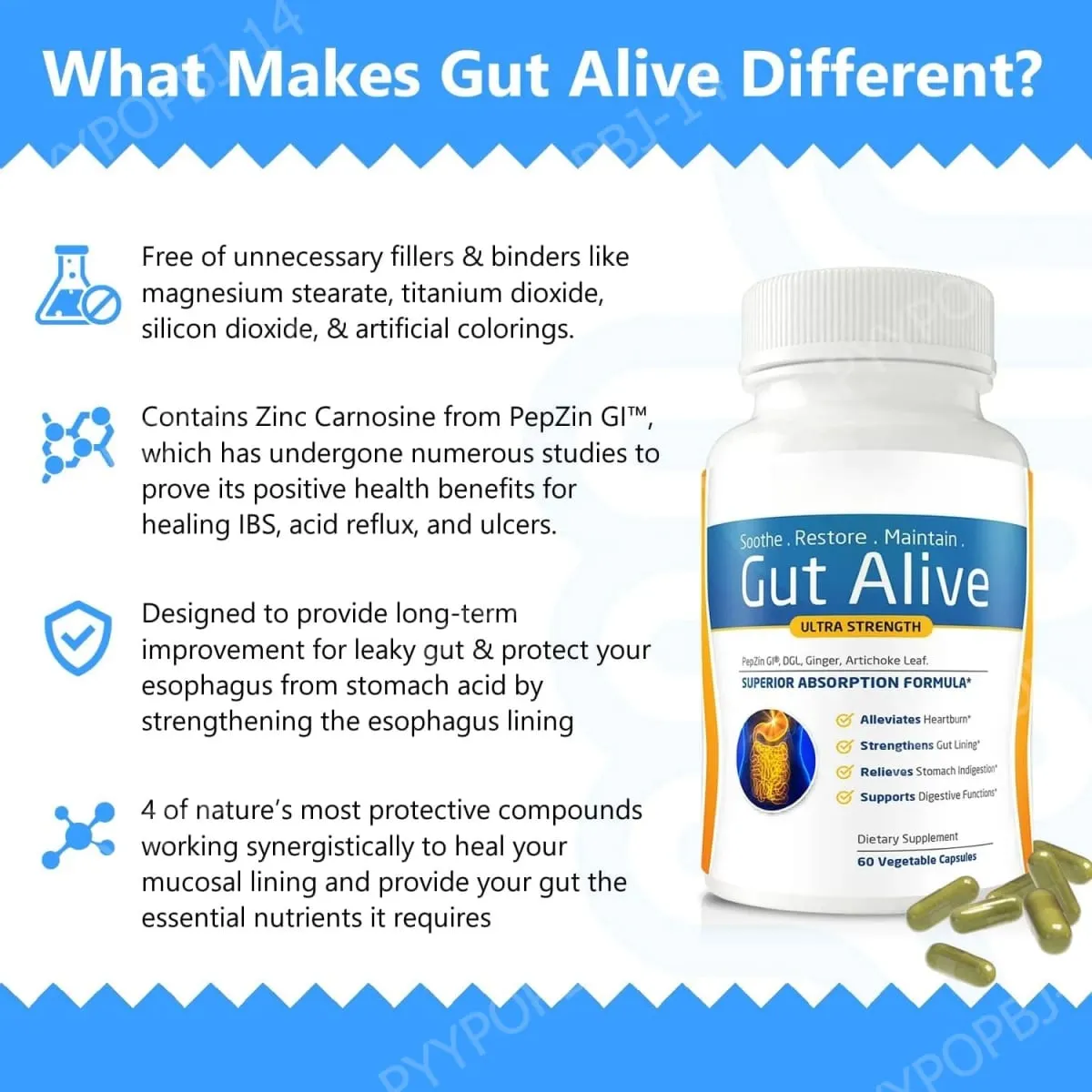 Gut Alive - All Natural Support to Fight IBS Heartburn Acid Indigestion Acid Reflux Bloating & Gas Unique Formulation 60 Count — image 2