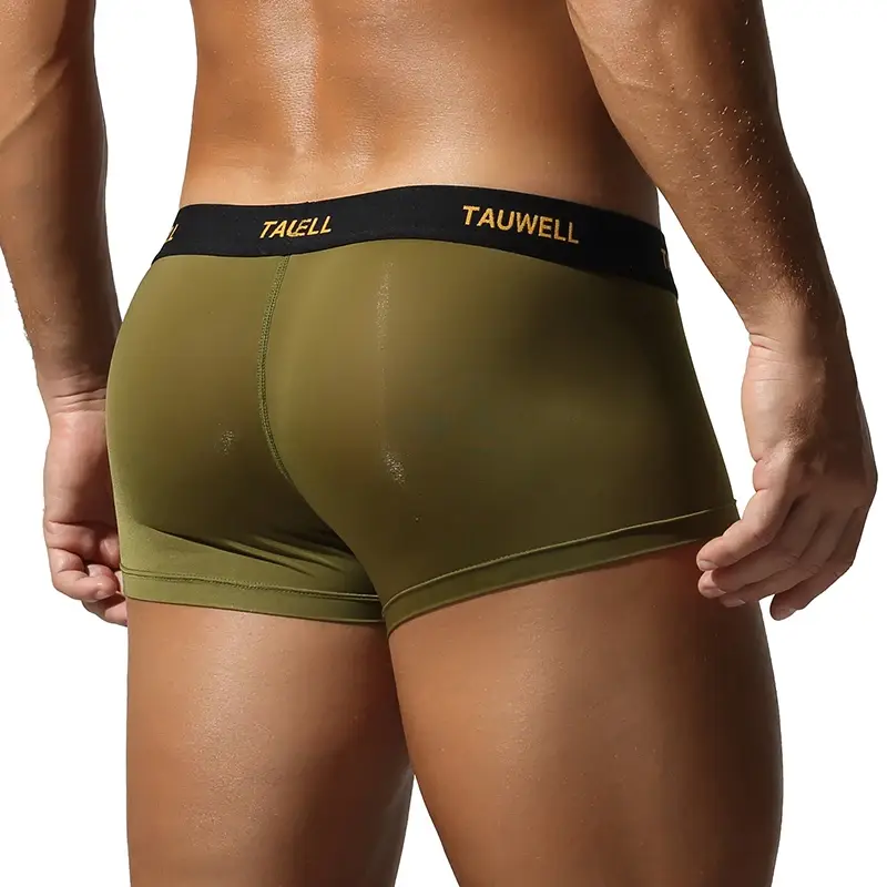 Men's Underwear Comfortable Cool Thin Sexy Semi-Transparent Flat Angle Pants with U-Shaped Pouch Briefs — image 13